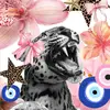WYNN MITCHELL - @wynn.mitchell - TikTok