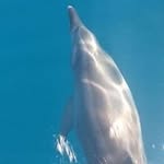 Wynn Mitchell - @wynnmitchell15550 - Instagram