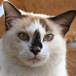 Maria - @mariamitchellzookvnkutk - Instagram