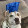 Mitch Mithunpaul - @mitchmithunpaul - TikTok