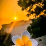 Mitu Paul - Facebook