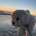 Mitzi - @mitzi.best6 - Instagram