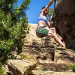 Mitzi Gray - @mitzi.bird - Instagram