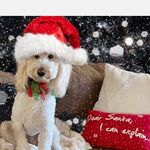 Mitzi McCain Bryant - @nailgirl007 - Instagram