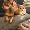 mitzi - @mitzibryant218 - TikTok