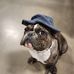 Mitzi D. Byrd - Facebook