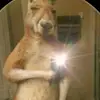 Daniel Mitzi - @daniel.mitzi3 - TikTok