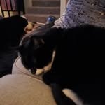 Mitzi Elliott - @mitzielliott66 - Instagram