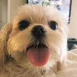 MITZI - @therealmitzielliott - Instagram