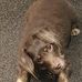 Mitzi Foster - Facebook