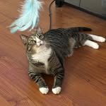 Mitzi Price Freeman - @tngenes60 - Instagram