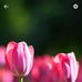 Mitzi Gee - Facebook