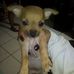 Mitzi Giles - Facebook