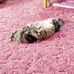 Mitzi Goodman - Facebook