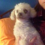 Mitzi Bleedus Harris - @hello_im_mitzi - Instagram