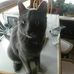 Mitzi Hess - Facebook