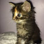 Mitzi Hill - @mitzi_cat2213 - Instagram