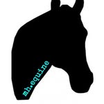 Mitzi hill - @mh.equine._ - Instagram