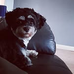 Mitzi Hill - @moomoo_hill - Instagram