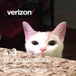 Mitzi Hill - @mitzilhill - Instagram
