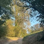 Mitzi - @mitzihunterde - Instagram