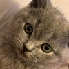 mitzi.hunt - @mitzi.hunt - TikTok
