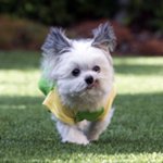 Mitzi Jackson - @mitzijackson1 - Instagram