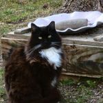 Mitzi Keen - @keen.mitzi - Instagram