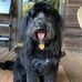 Mitzi Keller - Facebook