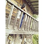 @mitzi.kelly_ - Instagram