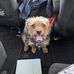 Mitzi King - Facebook