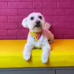 Mitzi King - Facebook