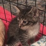 Mitzi Lloyd - @mitzi_lloyd - Instagram