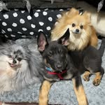 Mitzi Lottie Daisy - @mitzi.lottie.daisy - Instagram
