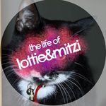 the life of lottie and mitzi - @lifeoflottieandmitzi - Instagram