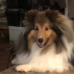 Mitzi Malcolm - @mitzi.malcolm - Instagram
