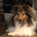 Mitzi Malcolm - Facebook