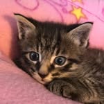 Mitzi Malcolm Dykes - @mitzi_malcolm_dykes - Instagram