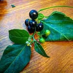 Mitzi Meadows - @mitzi_likes_stuff - Instagram