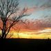 Mitzi Meek - Facebook