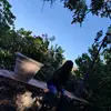 Mitzi Navarro - @mitzinavarro0 - TikTok