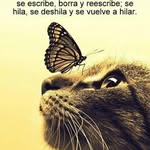 Mitzi Urueta Navarro - @mitziuruetanavarro - Instagram