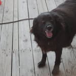 Mitzi Kirk Reed - @mitzi.kirk.9 - Instagram