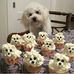 Mitzi Shaw - Facebook