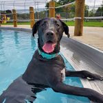 Mitzi Shaw - @mitzi2131 - Instagram