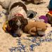 Mitzi Walker - Facebook
