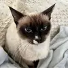 Mitzi Hanson Wright - @mitzi.hanson.wrig - TikTok