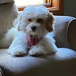 Mitzi Scott Wright - @mitziscottwright - Instagram