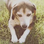 Mitzi Wright - @mitzi_moo_moo_ - Instagram