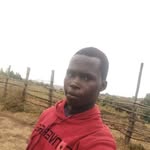 Harrison Miya - @harrison.miya.54 - Instagram